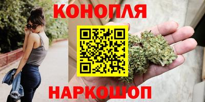 крисы Новокубанск