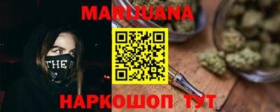 крисы Новокубанск