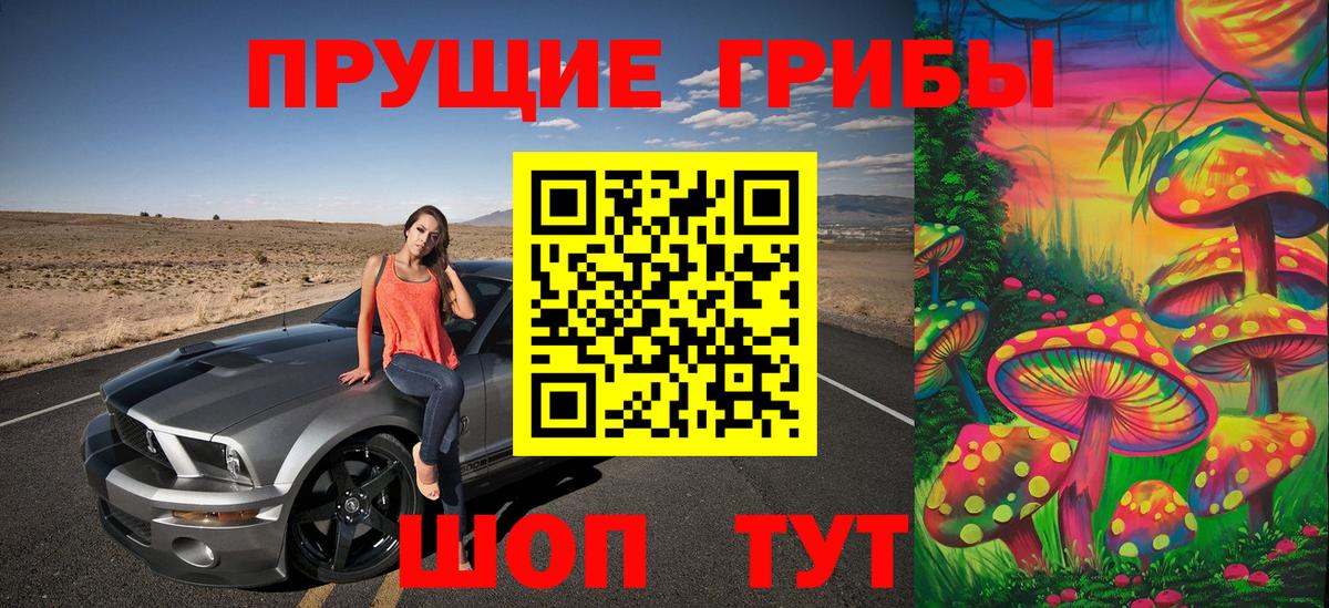 Россошь  Псилоцибиновые грибы мицелий  Псилоцибиновые грибы GOLDEN TEACHER  Вход с VPN 